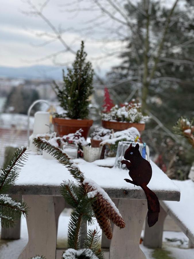 Farmhouse Eckartsberg Im Zittauer Gebirge - Ferienwohnung Mit 2 Schlafzimmern, Terrasse Und Wallbox Mittelherwigsdorf Exterior foto
